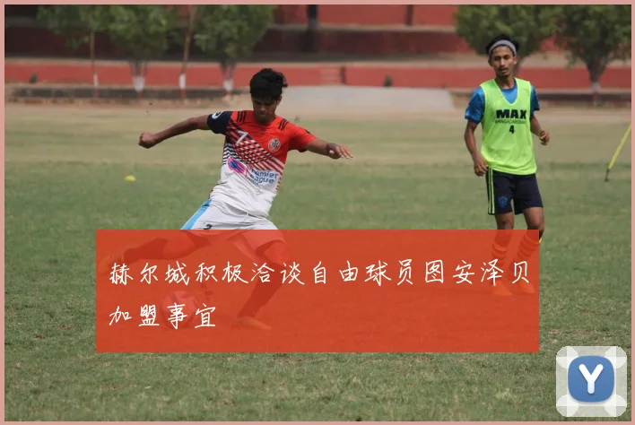 赫尔城积极洽谈自由球员图安泽贝加盟事宜